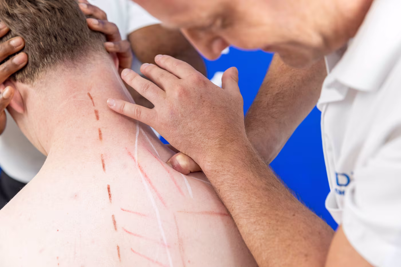 chiropractor cervical palpation neck assessment