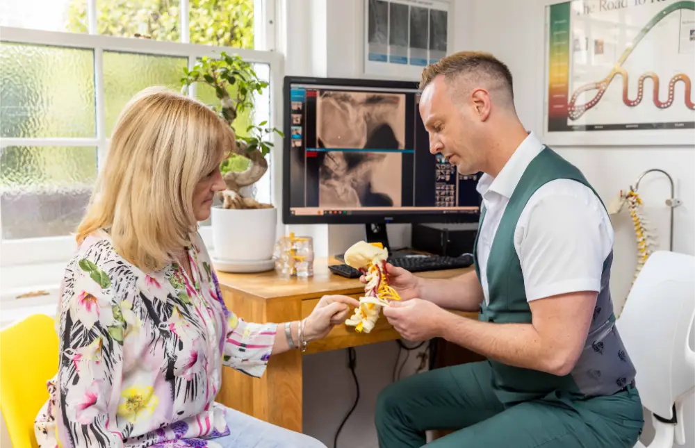 when chiropractor near me wrong search disc specialist