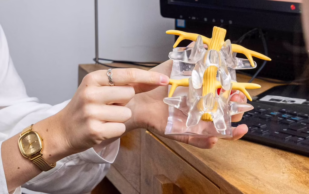 Close-up of a chiropractor using a spinal disc model to explain disc anatomy, nerve compression and spinal conditions during a patient consultation in Surbiton.